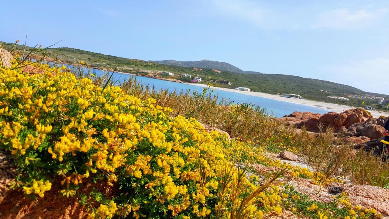 Casa Vacanza Costa Rossa Vista Mare Trinità dʼAgultu エクステリア 写真
